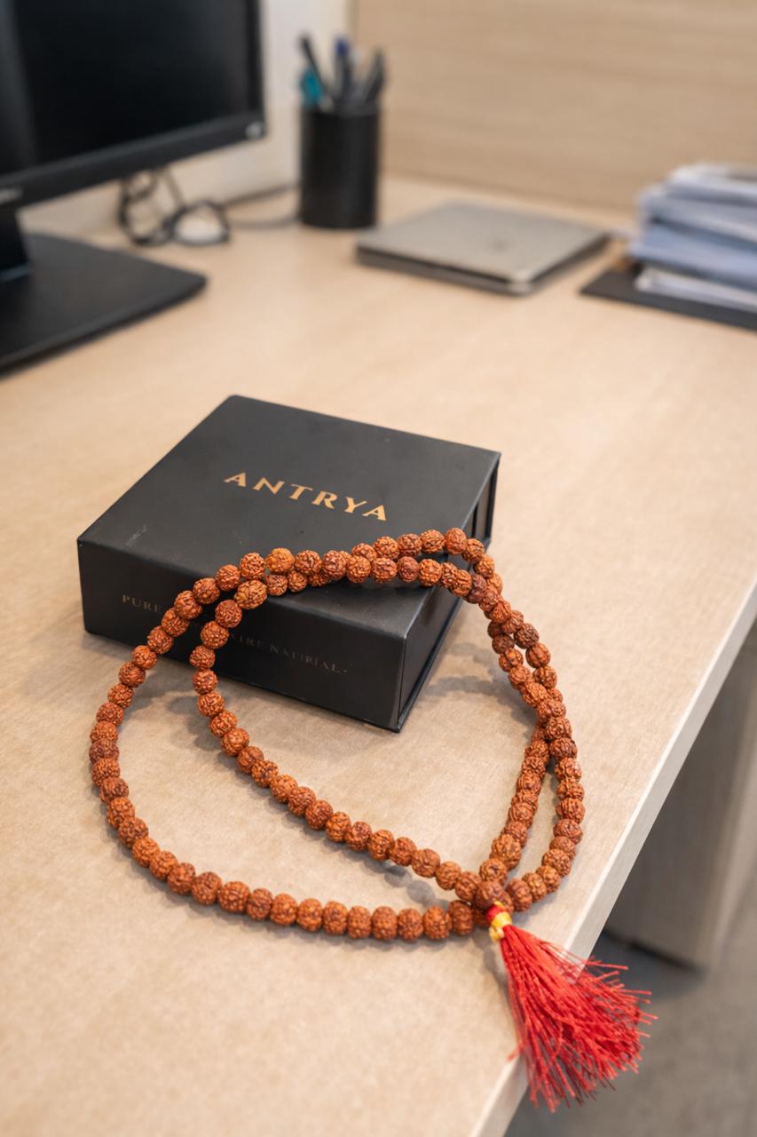 Rudraksha 108 Beads Meditation Mala