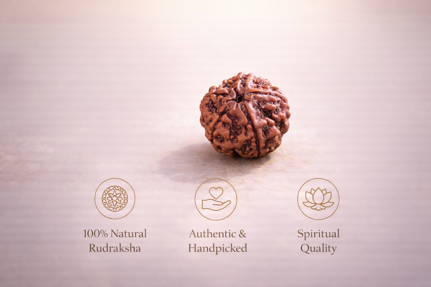 5 Mukhi Rudraksha Sacred Bead