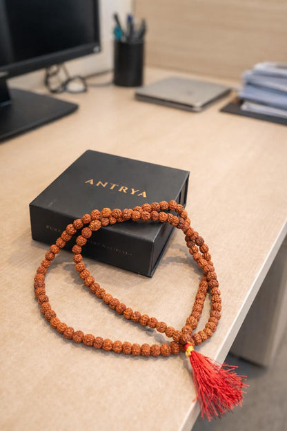 Rudraksha 108 Beads Meditation Mala